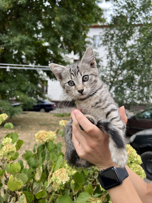 9827C410-E37C-4196-921A-D3CCD4268C91