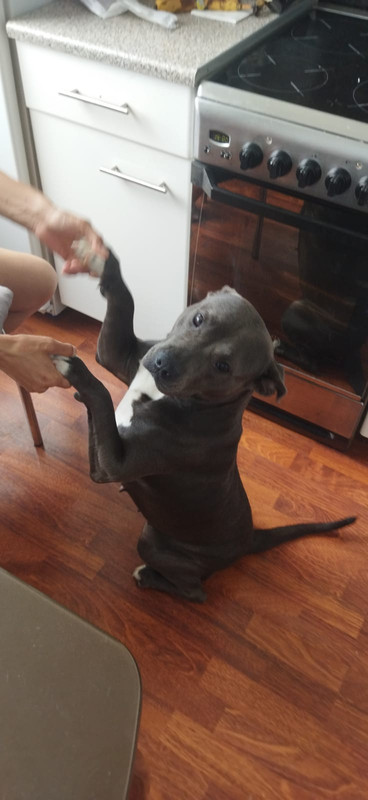 7BA36BB5-4BBE-41ED-95AE-0CC6BFDE56BE