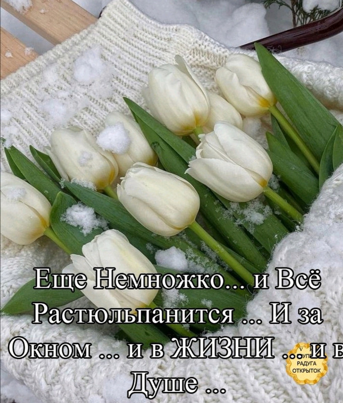 Screenshot-20230226-080118-com-viber-voi