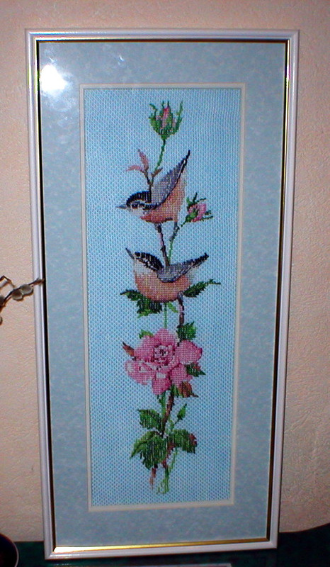 ?озовая сонатина1