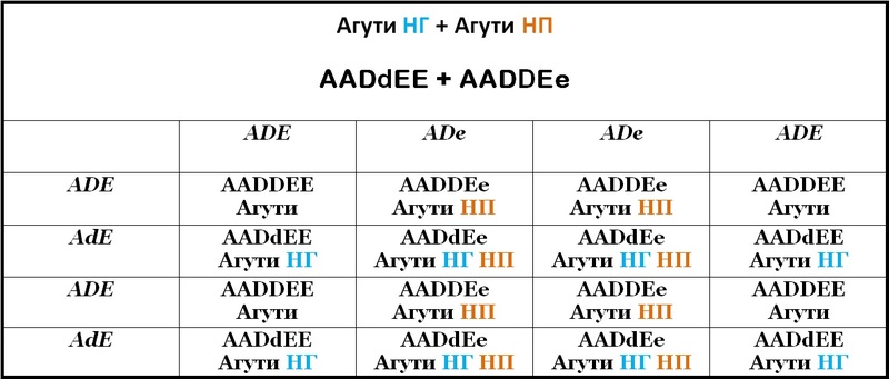 Таблица 21