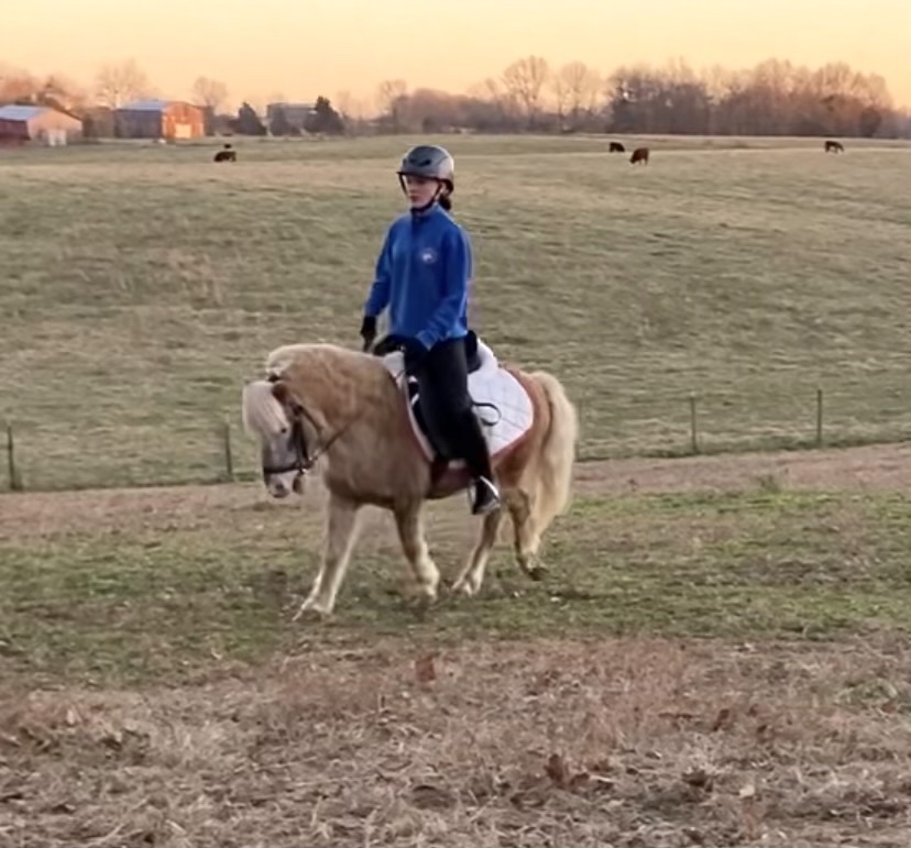 74A2E554-5ADC-458D-AAA2-437E23842B5C