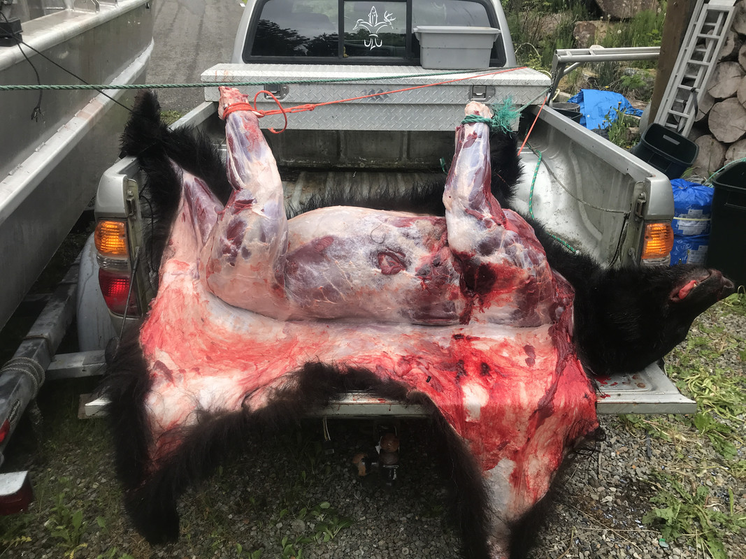 68DB9708-D4E7-4E5B-B9D4-328B38632593