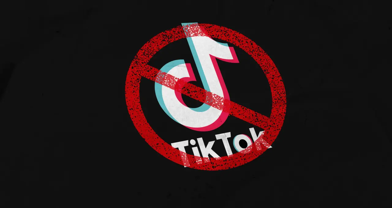 TikTok ban in Egypt