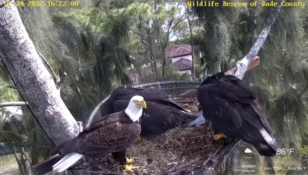 67DF1C5D-E1AE-43CA-8162-EF26EBAA18F9