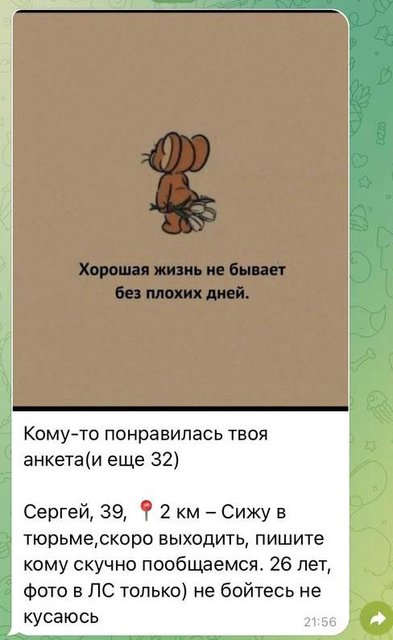 WhatsApp Image 2025-10-13 at 13.06.51