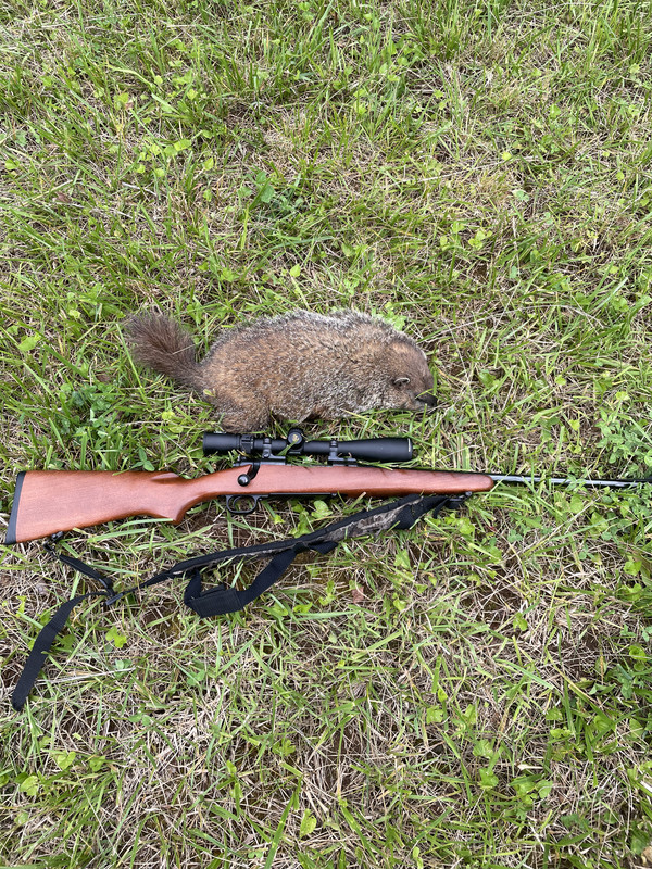 81353BDC-08EE-4E64-A1F3-C7940908FF98