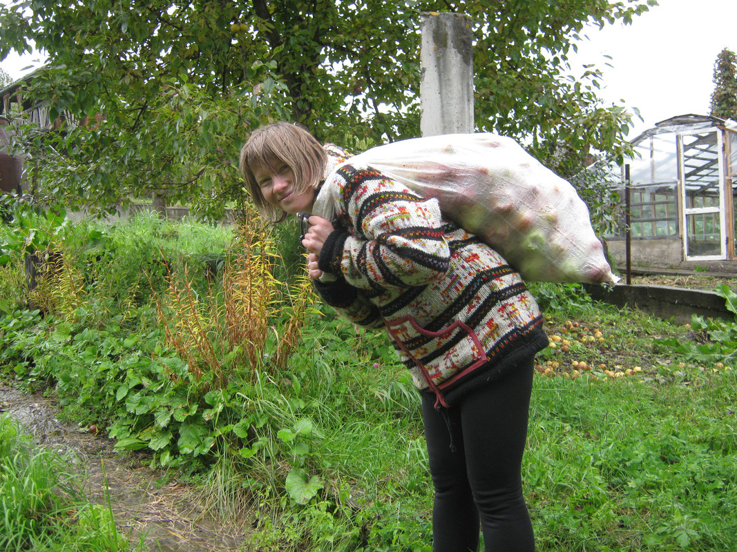 IMG 2833 — Postimages