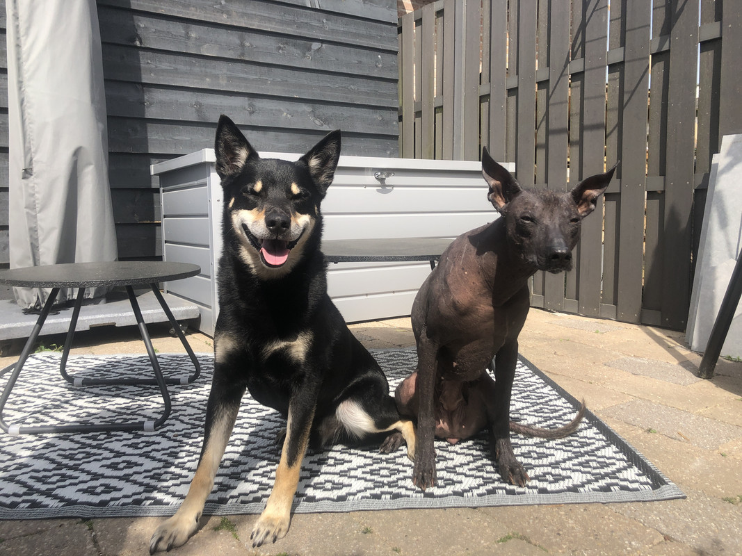 0953ABF3-DC7A-4879-B9E9-E7E99156E1BC