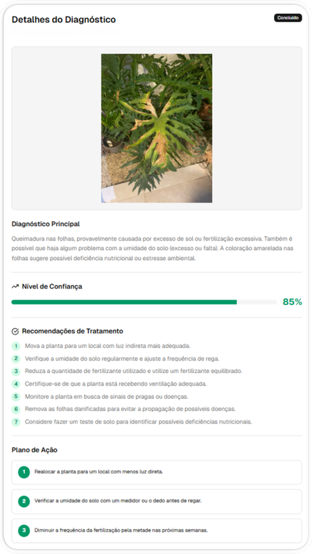 Preview do Aplicativo