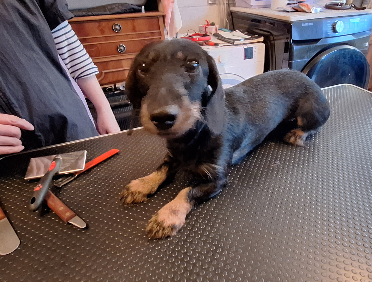 [Image: 20251217-154214.jpg]