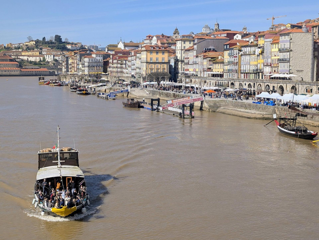 644035421 25576143975418565 2671403780254769085 n