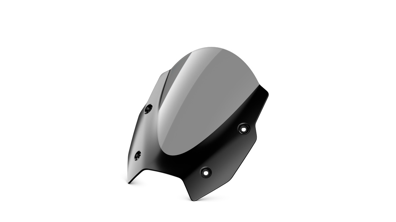 P90596272_highRes_the-new-bmw-r-1300-r