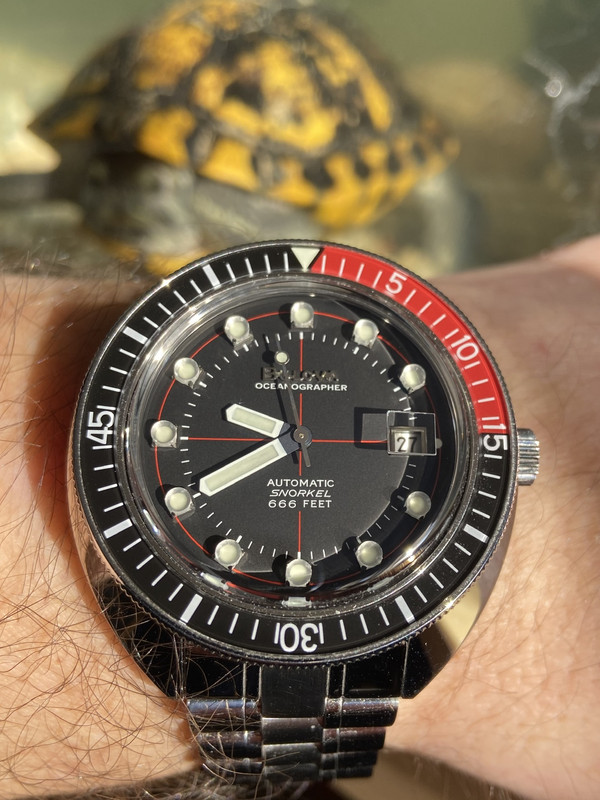 D86BAA84-2F92-4818-8BE7-AF15EF6203FA