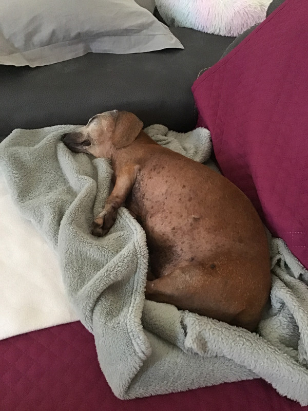 [Image: 9-B469505-6-A39-40-F1-A702-A7100-D61-EE8-A.jpg]