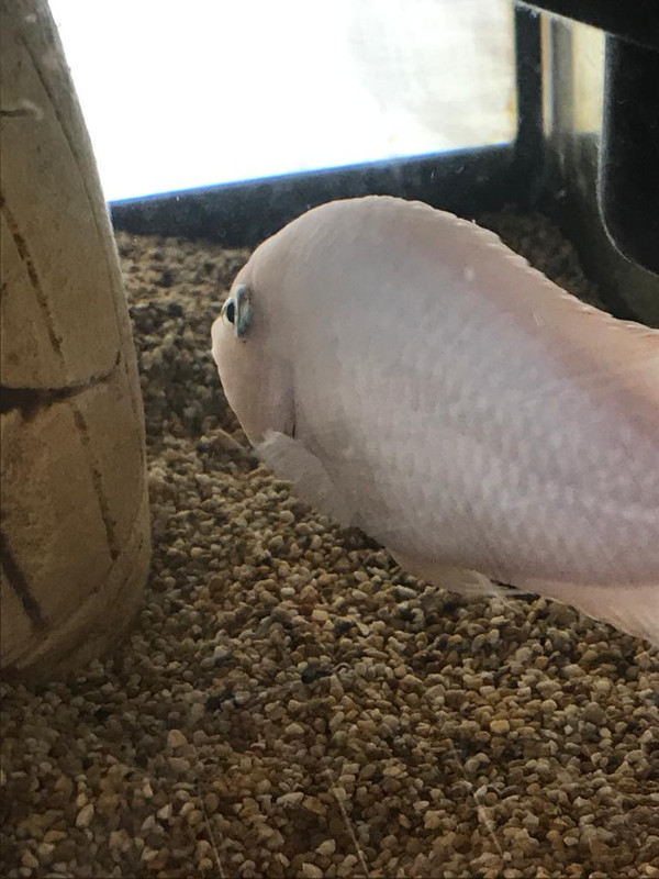 8F522D2C-4B7B-4B9E-B10F-D622C55B2079