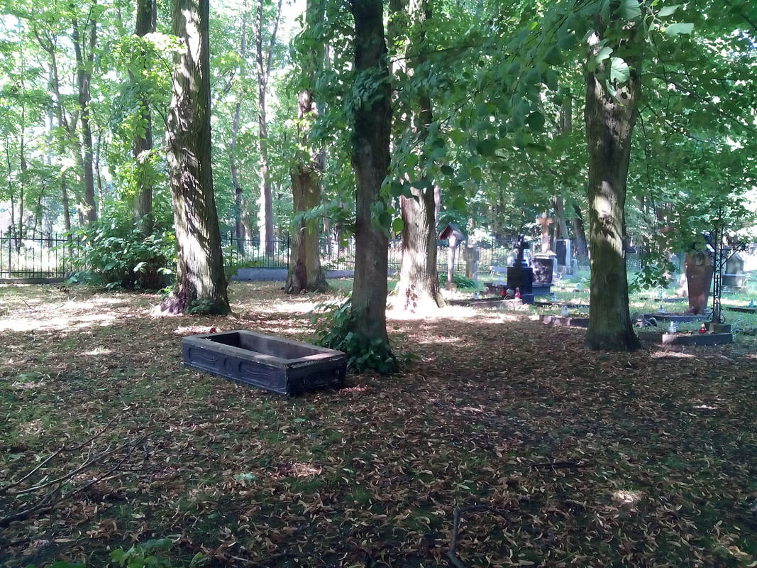 17.08 - IMG_20170813_105435 (PiTT)