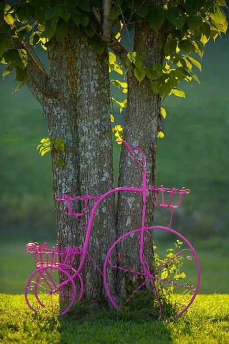 Purplebiketree.jpg