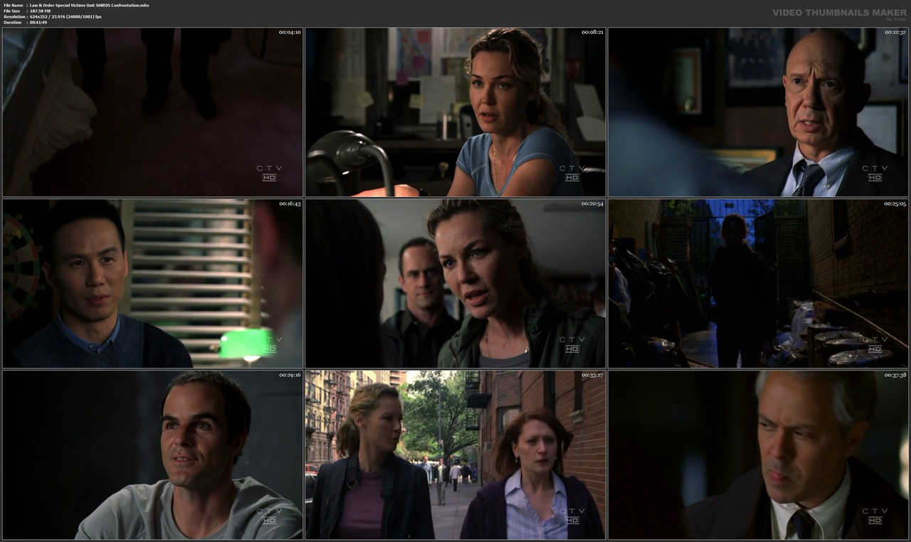 Law & Order Special Victims Unit S08E05 Confrontation.mkv