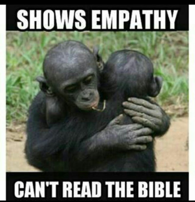 [Image: Empathy.jpg]