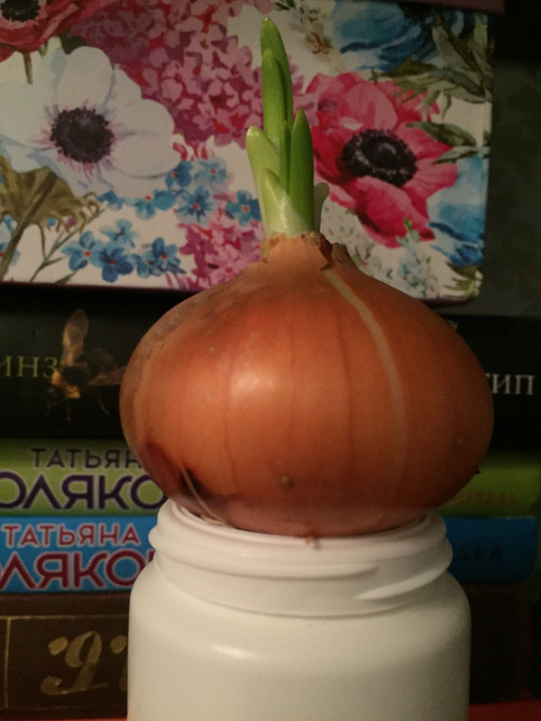 15CB52E6-7D97-4DC6-90F2-6E2C1528BA4D