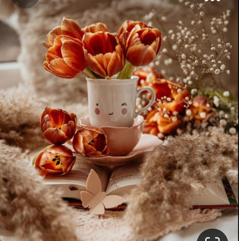 Screenshot_20230929_000414_Pinterest