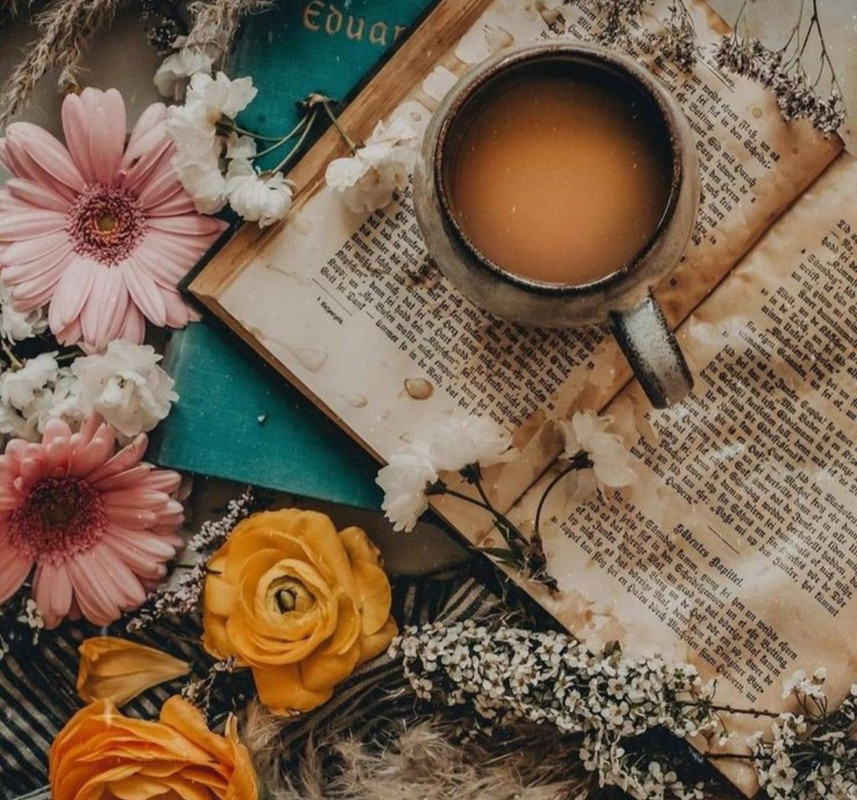 Screenshot_20240706_221815_Pinterest