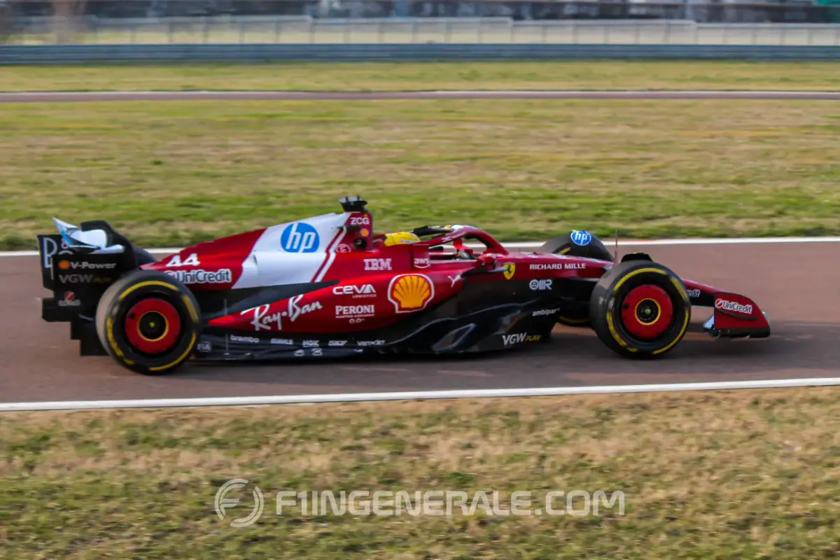 IMG-8519-2-F1.webp