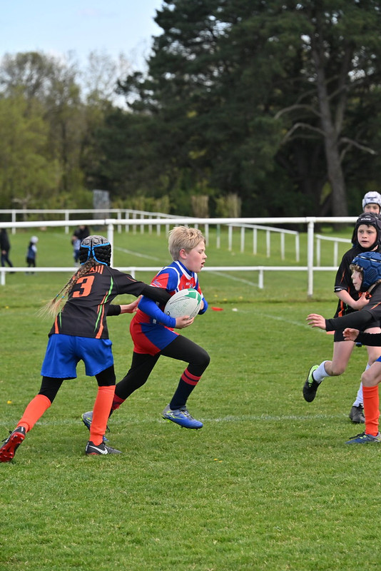 dsc-1714-55181557104-l