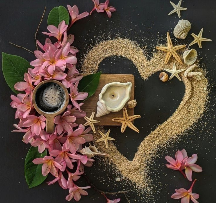 Screenshot_20240715_142045_Pinterest