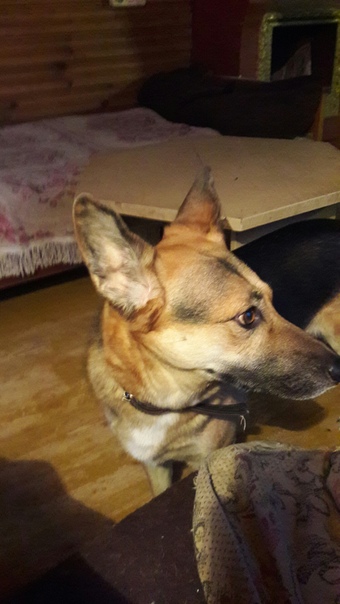 28BB29FD-12AE-4F35-93DB-926782BDC9F5