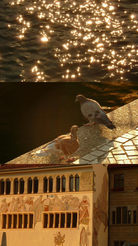 photo 4 2026 01 16 22 00 52