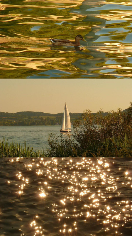 photo 3 2026 01 16 22 00 52