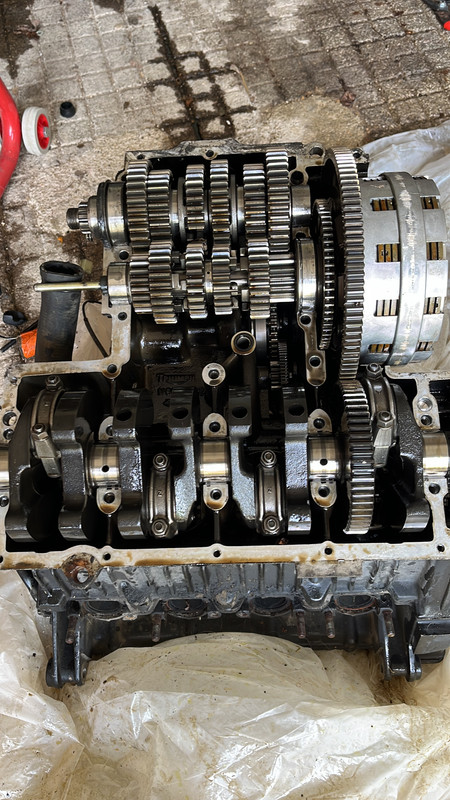 43618F0A-BE56-4505-85F3-545A37034F81 (1)