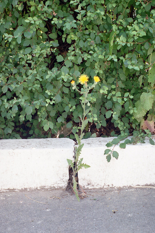 6737A-10-1... (1024)