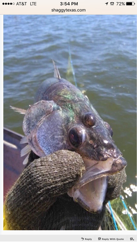 1-D2008-F6-DA6-A-4-E9-D-8047-FA3-BB2639-