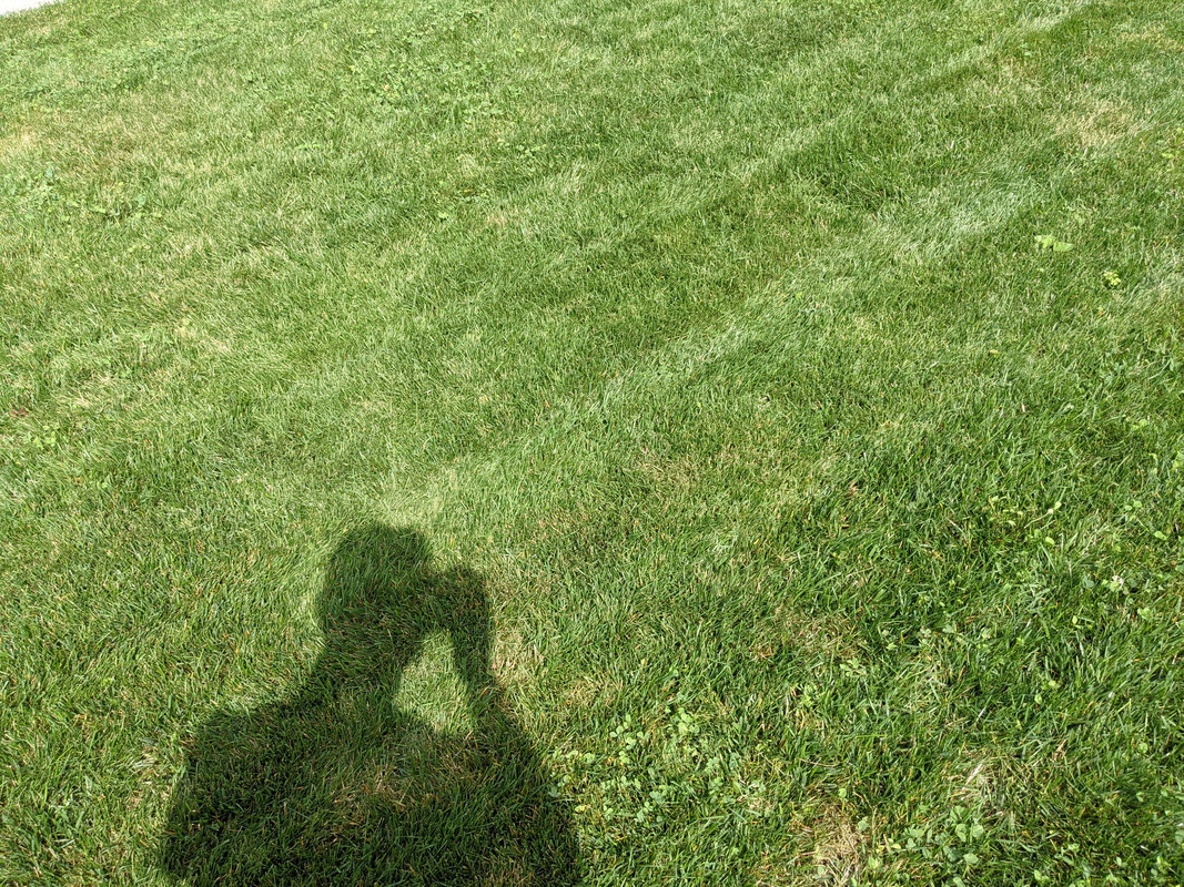 PXL_20220806_154957967