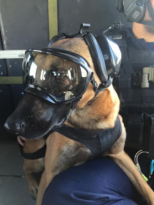 U.S. Coast Guard Maritime Safety & Security Team7