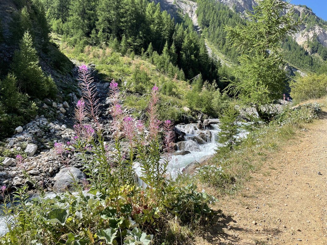 E5A60F57-A8E3-4DC2-9D59-5EEC777F2B4B