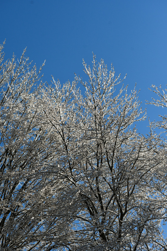 ice1