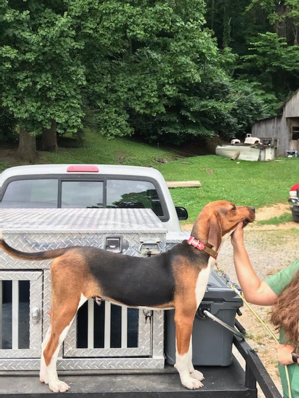 E06E3EAC-6CBB-42D1-A5BA-BDD3516293F5