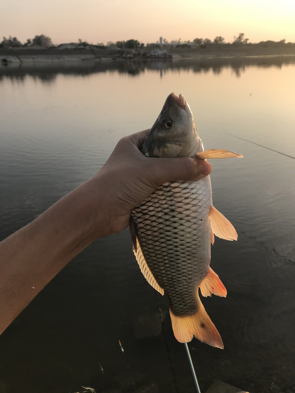 CA33463B-A6A5-4336-9084-68266E2C9167