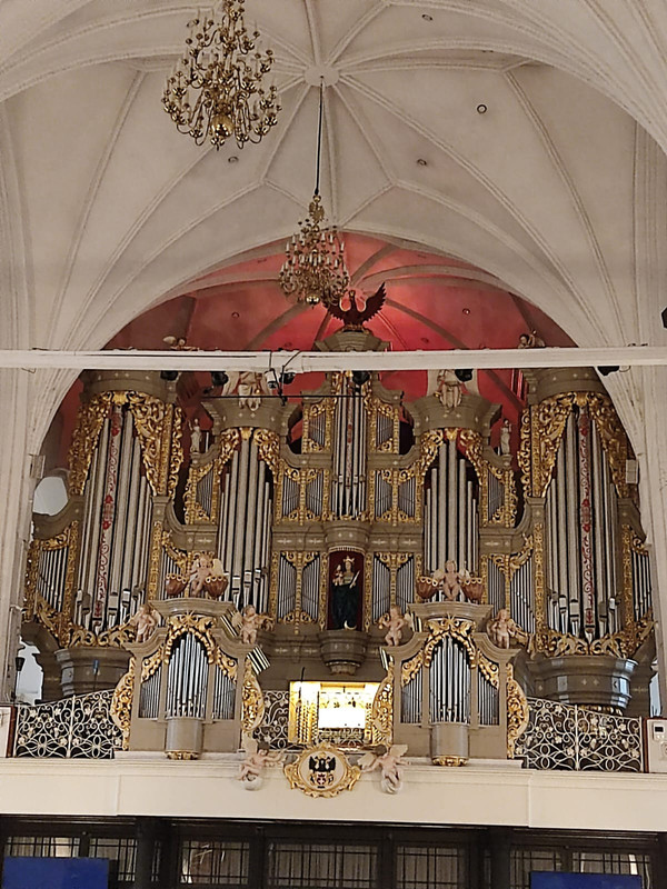 10b1d11c-df7d-43c8-8eb7-79374a3cad80