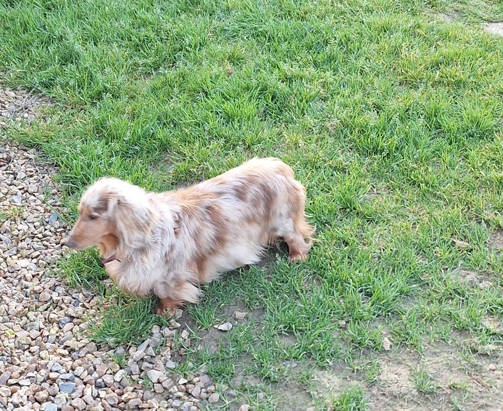 [Image: 20240324-182621.jpg]