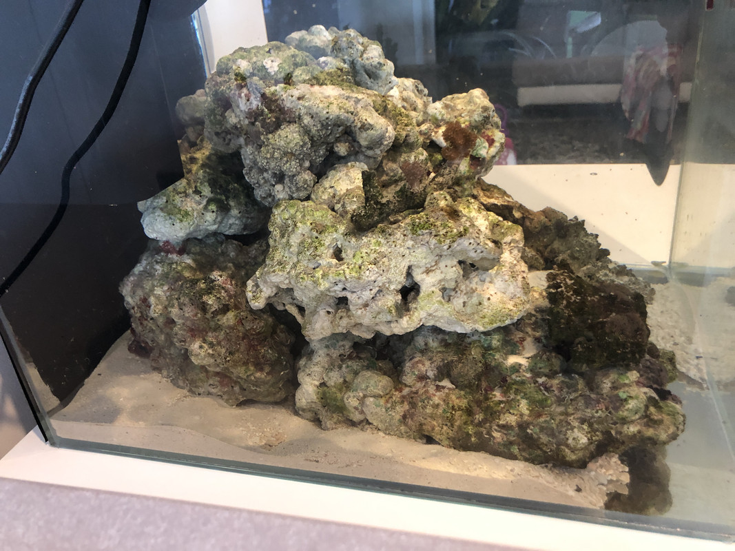 15C493E8-1927-4487-9EB6-72E3D06105C6