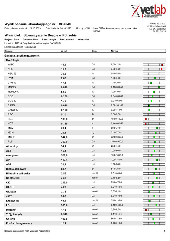 Stowarzyszenie Beagle w Potrzebie (BG7640)-1-1