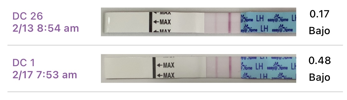 068DA50C-A0D1-4F2D-97EC-E9CCE8680ECB