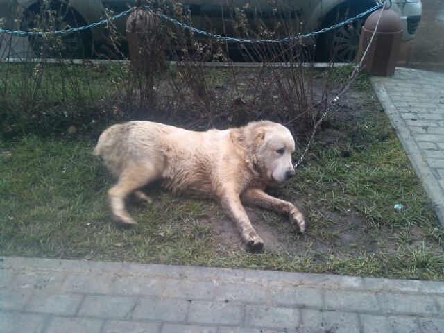 image-94ceb18c94d2f7dc6fd74f17e914f6383c29cccd52