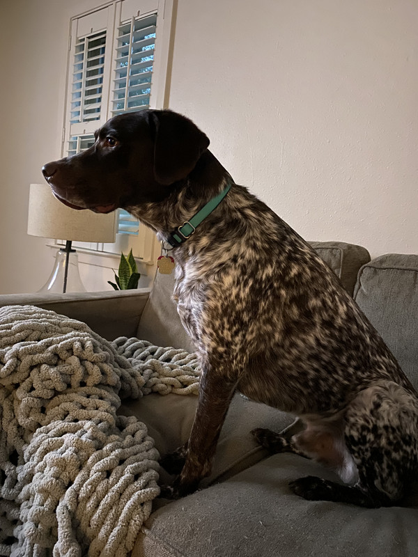 63452027774__7E8A4E67-B4E9-4632-8BED-7ABF1E84606C