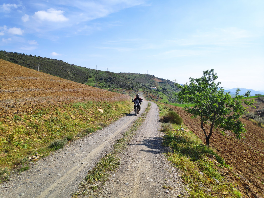 IMG_20210314_150142_1